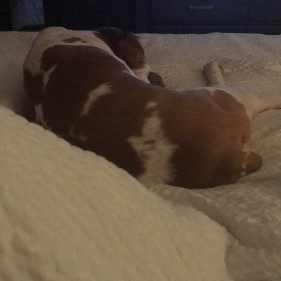 Meet your Posher, Kelly - Picture 1 of 1